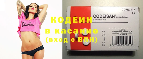 трава Белокуриха