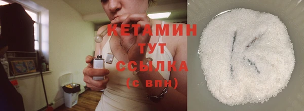 трава Белокуриха