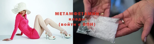 трава Белокуриха