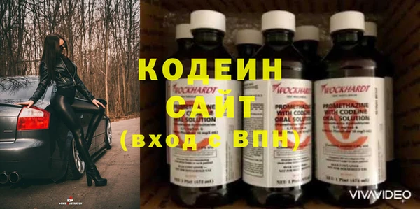 трава Белокуриха